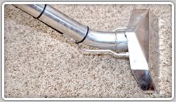 Carpet Steam Cleaners